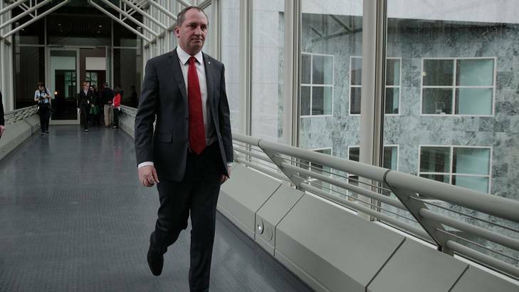 Senator Barnaby Joyce says a single cow or lamb could effectively cost as much as a house, if it meant an abbatoir was pushed over the edge and had to pay the carbon tax. Photo: Alex Ellinghausen