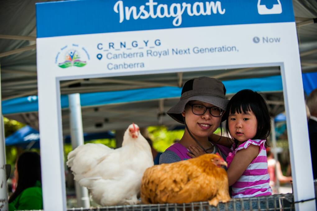 Betty Zhang with her daughter Yuting Hu,3, of Watson checking out the chickens at the Canberra Show's launch. Photo: Elesa Kurtz
