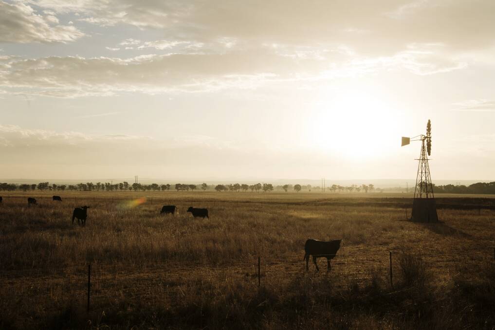 A report has revealed the extent of debt being held by Queensland's rural industries. Photo: Louise Kennerley