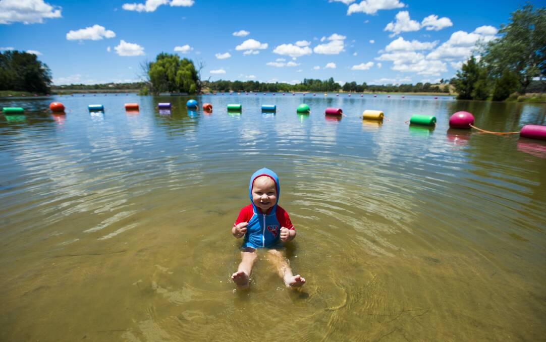 Dominic Gruzas,18 months, enjoys a dip at the western foreshore of Lake Ginninderra. Photo: Elesa Kurtz