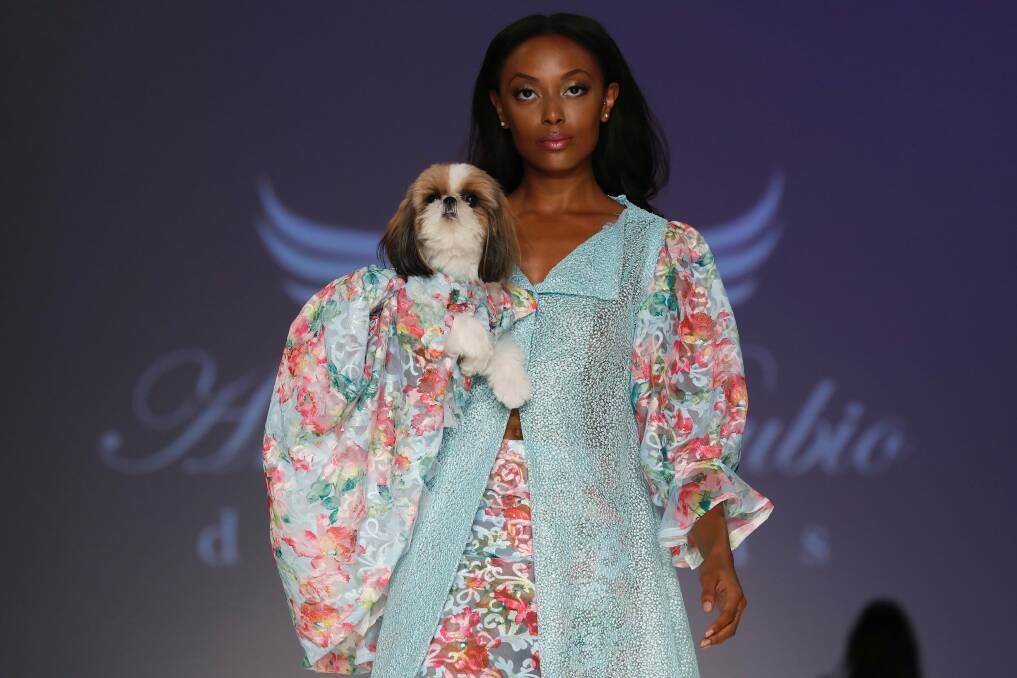 The Anthony Rubio Canine couture and woman's wear collection at New York Fashion Week. Photo: AP