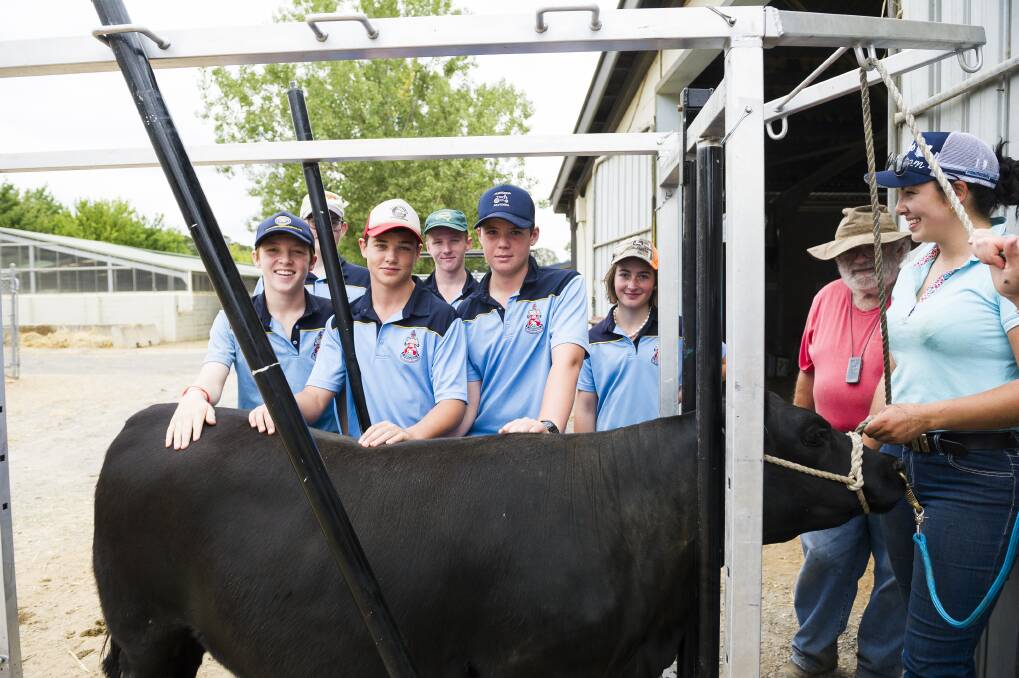 Canberra Grammar School students (from left) Ray Cooper, George Walker, Tim Lott, Seamus Stucket and Tara Southwell helping prepare a contestant. Photo: Dion Georgopoulos