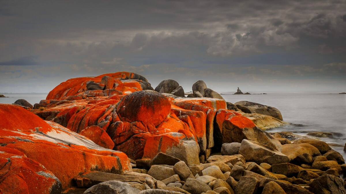 Cosy Corner, at the Bay of Fires on the north-east coast, is one of Tasmania's many hidden jewels. Photo: Cliff Samson