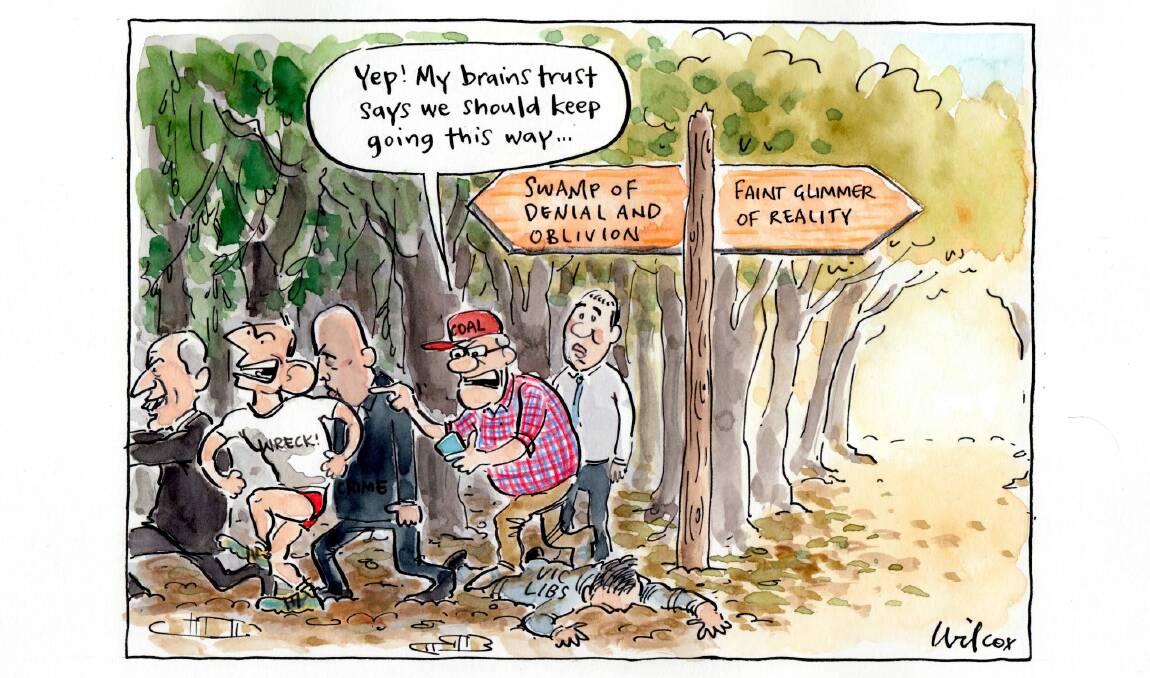 The Canberra Times' editorial cartoon Tuesday, November 27.  Photo: Cathy Wilcox