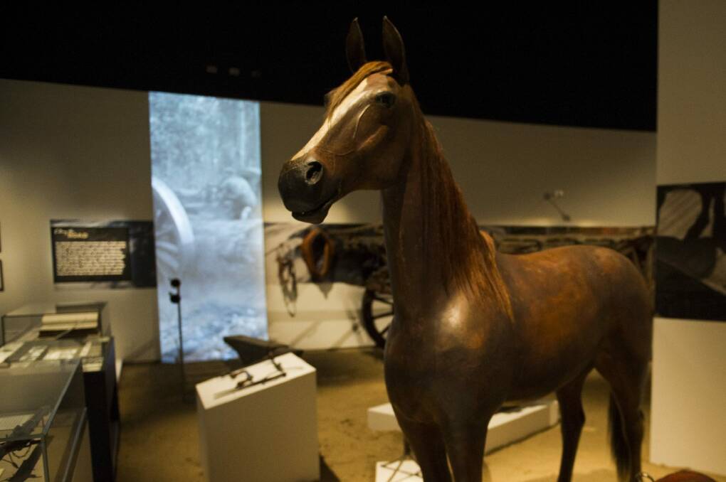 This weekend is the last chance to check out Spirited: Australia's Horse Story at the National Museum of Australia. Photo: Jay Cronan