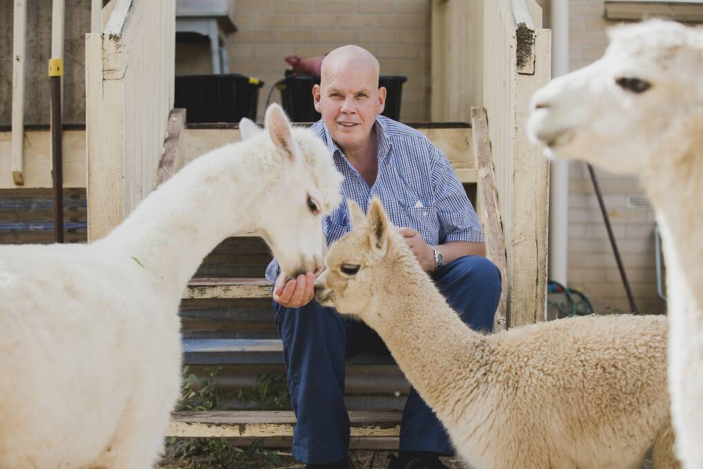 Nils Lantzke, pictured, feeds three-month-old Paprika, centre, and Hercules, left. Photo: Jamila Toderas