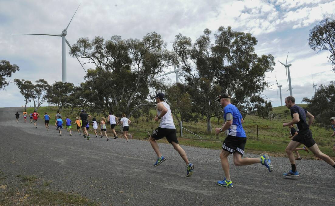 Participants could choose between a five or 10 kilometre run.  Photo: Graham Tidy