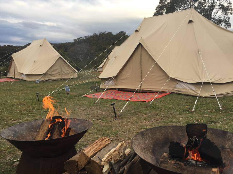 Some of the tents that will be used at Tidbinbilla. Photo: Supplied