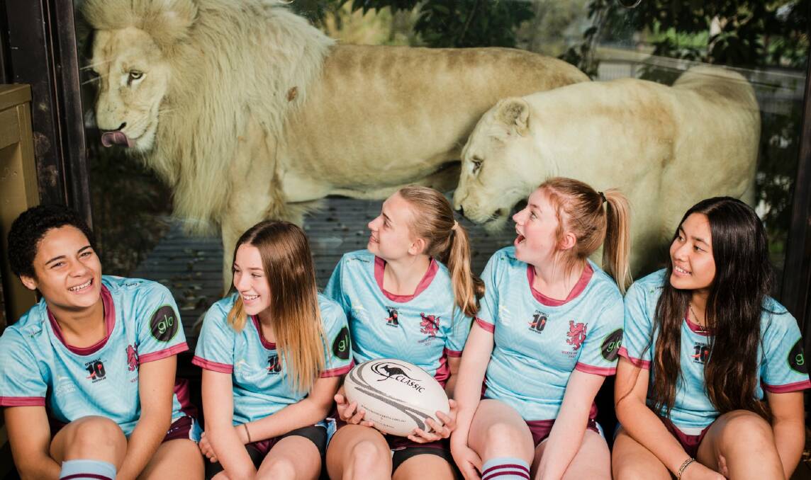 Wests started a junior girls 'Lionesses' program last year, Photo: Jamila Toderas