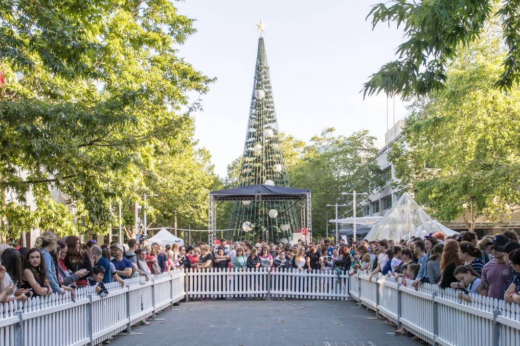 The Canberra Christmas tree in Civic. Christmas day will be mostly cloudy with showers and a chance of a storm.  Photo: Photox