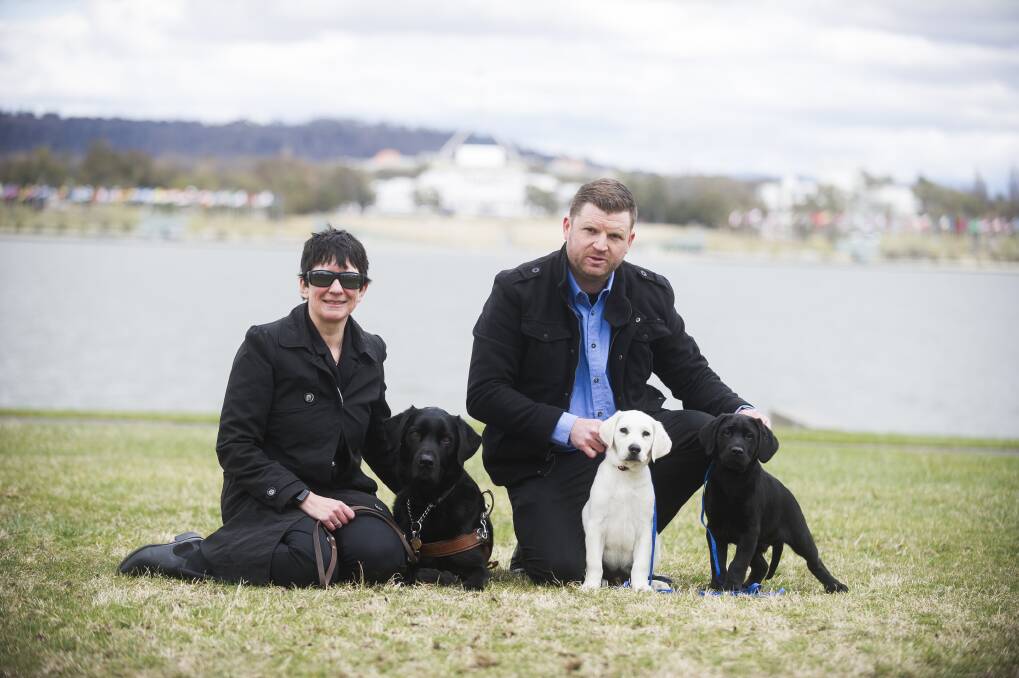 Guide dog handler Jo Weir with Wiley and CEO of Guide Dogs NSW/ACT Dale Cleaver with future guide dogs Spark and Storm. Photo: Dion Georgopoulos