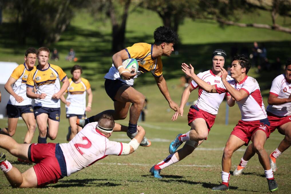 The ACT Schoolboys stunned everyone in their path to win the Australian schoolboys rugby championships. Photo: ARU Media/Karen Watson