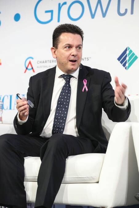 The government is likely to secure support for a cut for companies with a turnover of up to $10 million from the Nick Xenophon Team. Photo: Louie Douvis