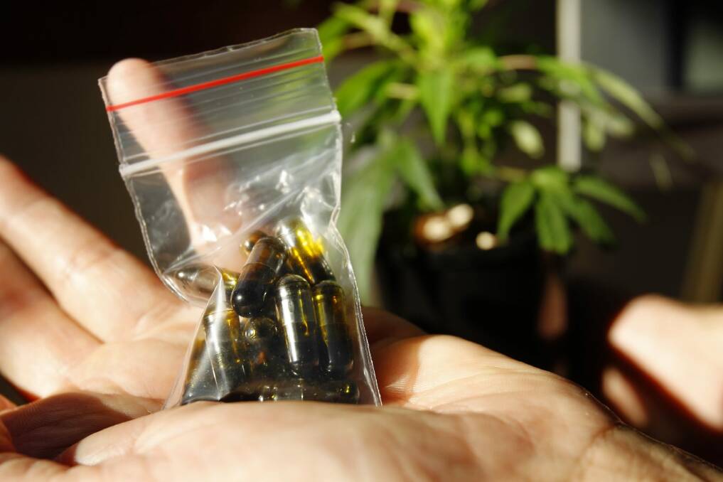 Medicinal cannabis is being legalised in various parts of Australia. Photo: Max Mason Hubers