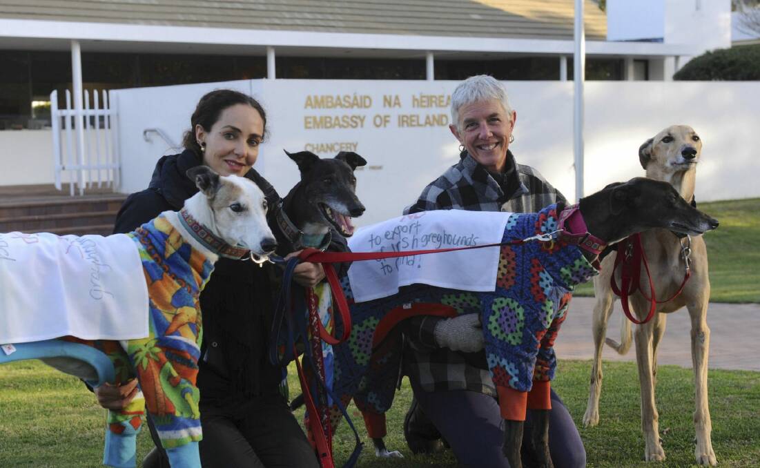 Ada Prosperi, left, and Alison Compston, with four of their rescue greyhounds at the protest. Photo: Graham Tidy