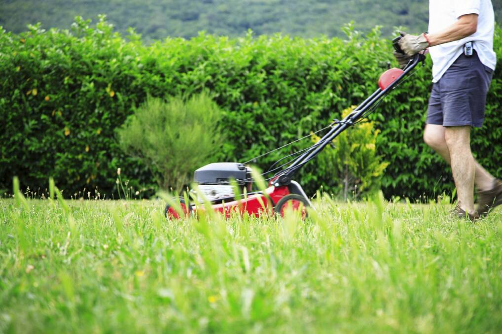 Is there any more pleasant smell than that of freshly mown grass? Photo: Supplied.