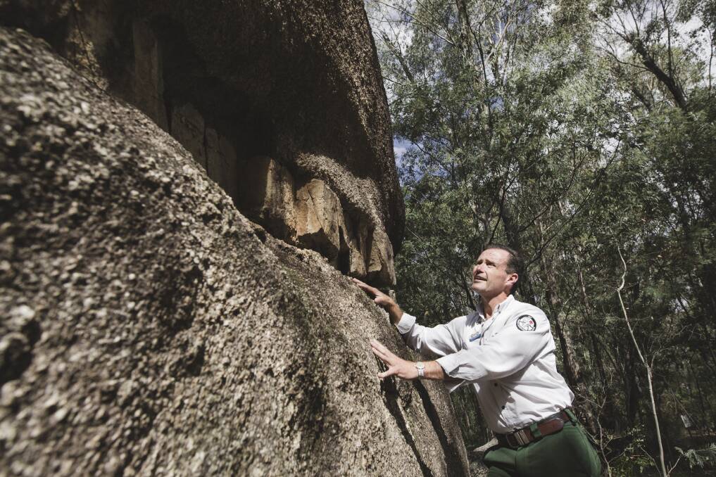 ACT parks and conservation manager Brett McNamarara at the Tidbinbilla Nature Reserve on Wednesday. The wildife sanctuary marks 10 years since it reopened after the bushfires.
