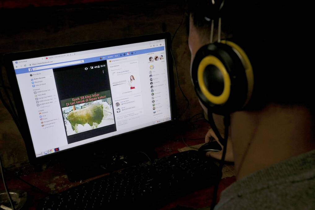 An Indonesian youth browses his Facebook page at an Internet cafe in Jakarta. Photo: AP