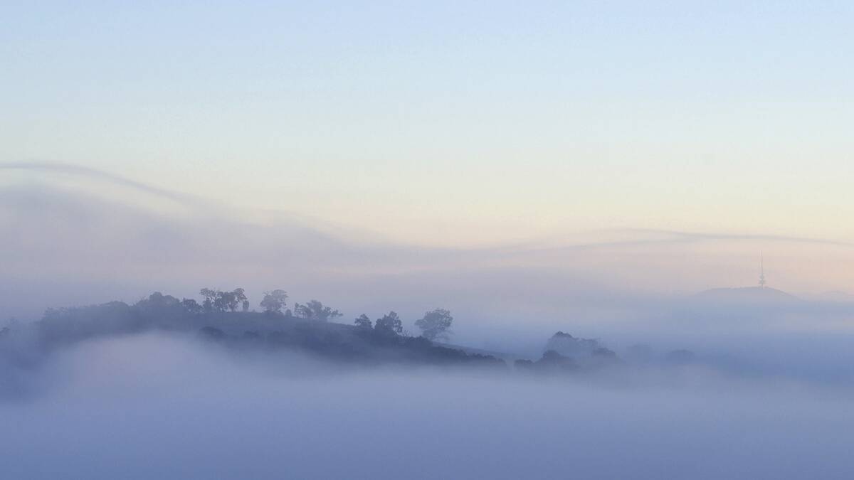 A reader captured this misty morning shot for the <i>Canberra Times'</i> Winter Photo Competition.  Photo: Tanya Apelt