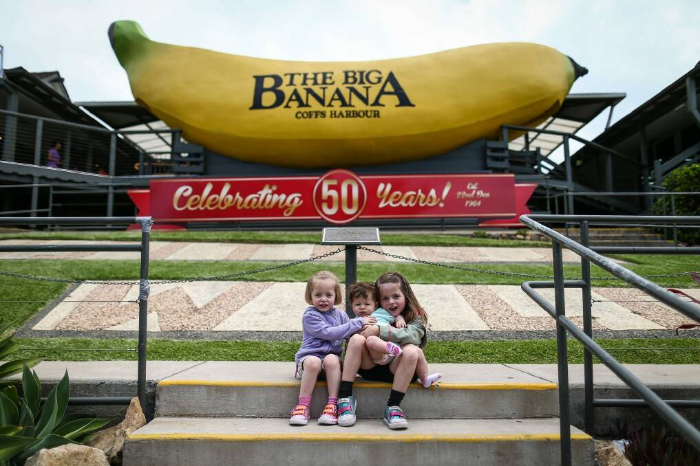 The Big Banana at Coffs Harbour. Photo: Alex Ellinghausen