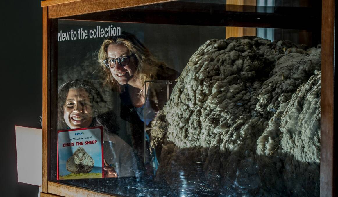 The launch of Chris the Sheep's picture book at the national Museum of Australia, written by RSPCA ACT CEO Tammy Ven Dange (left) and illustrated by Kylie Fogarty.  Photo: Karleen Minney