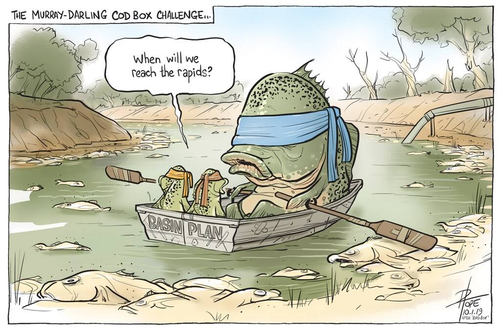 The Canberra Times editorial cartoon for Thursday, January 10, 2019. Photo: David Pope