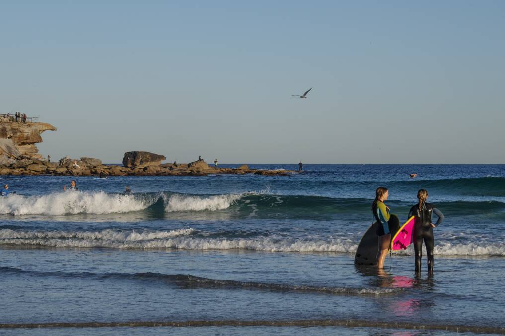 Council will consider restricting any board with a fin to the southern end of the beach in response to “residential concerns”. Photo: Louise Kennerley