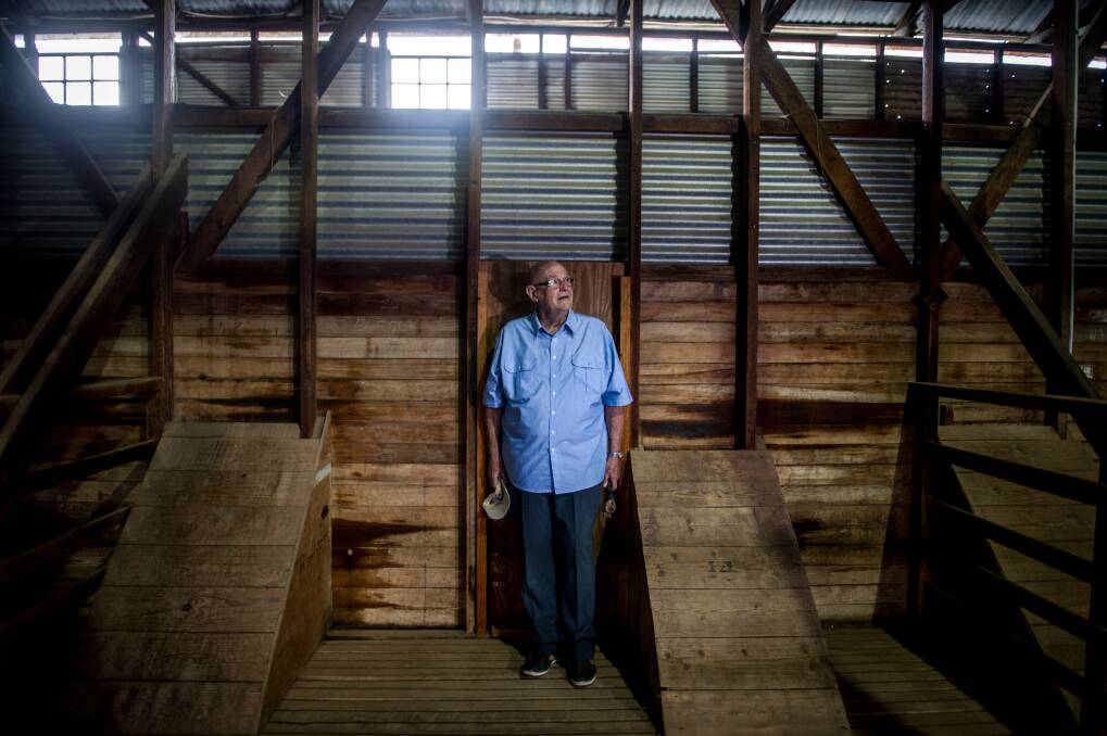 Adrain McInnes, whose father Les was the contractor that organised the shearing at Yarralumla. Photo: Karleen Minney