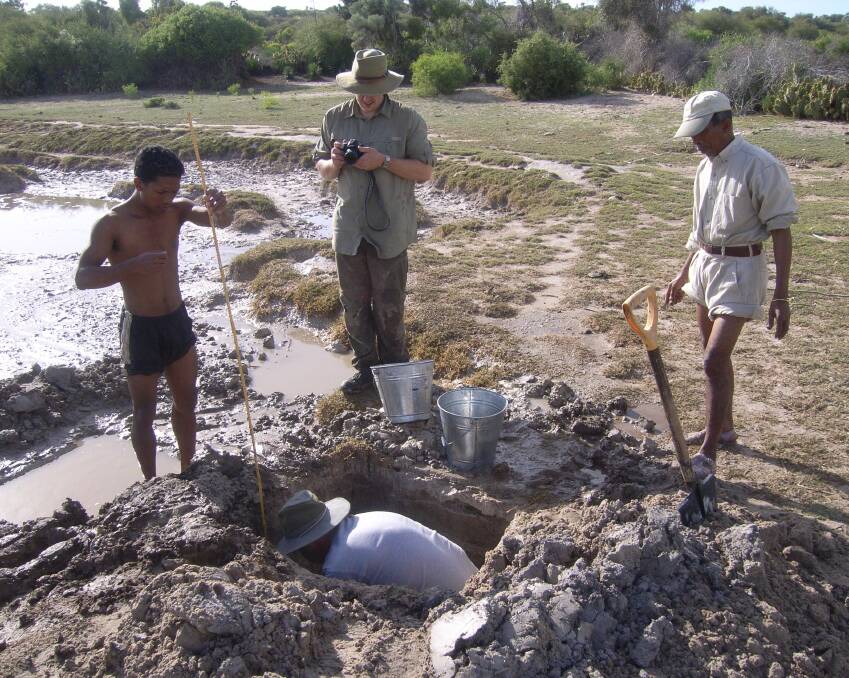 Atholl Anderson (front) excavates in Madagascar with Aaron Camens from Flinders University (back centre) Ramilisonina from the Muse ́e d’Art et d’Archae ́ologie (right) and a local worker. Photo: Geoff Clark
