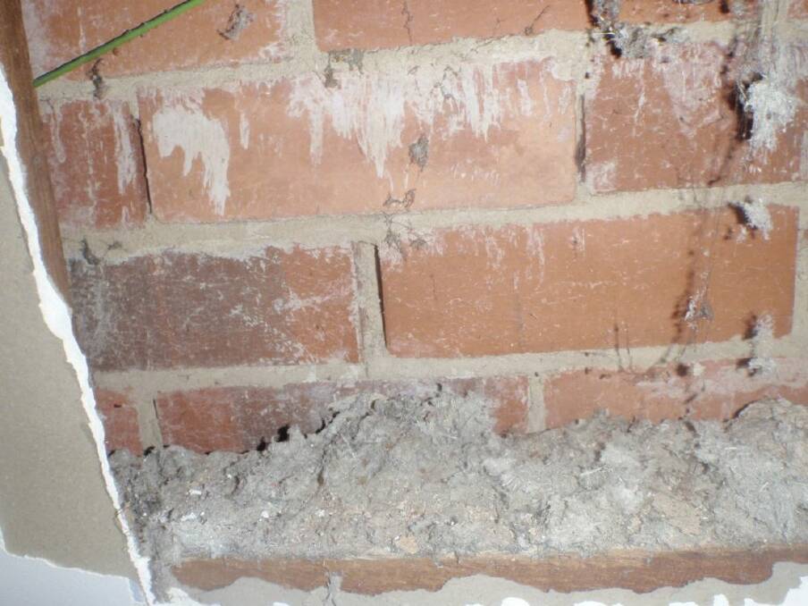 Loose-fibre asbestos in a home in Downer. Photo: Robson Environmental