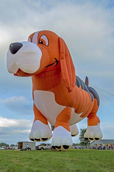 The US hot air balloon "Beagle Maximus" will be the star of this year's Canberra Balloon Spectacular, where it will appear for the first time, organisers say. Photo: Supplied