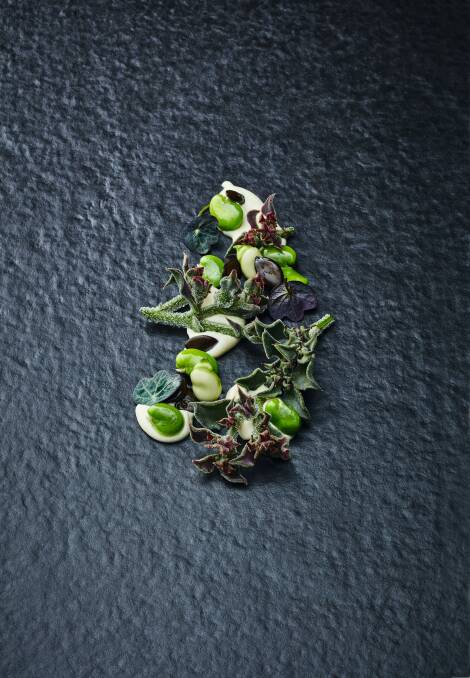 Peter Gilmore's Salad of Salty Ice Plant with broad beans. Photo: Brett Stevens