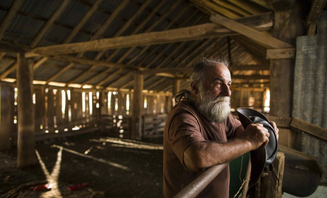 As the sun sets on the circa-1850 shearing shed, Dennis Rose, a resident of Wells Station for more than 27 years, ponders the future of his home.   Photo: Matt Bedford