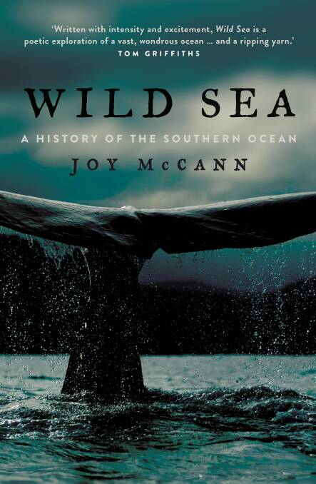 Wild Sea: A History of the Southern Ocean, by Joy McCann, New South Publishing, $32.99.  Photo: Supplied 