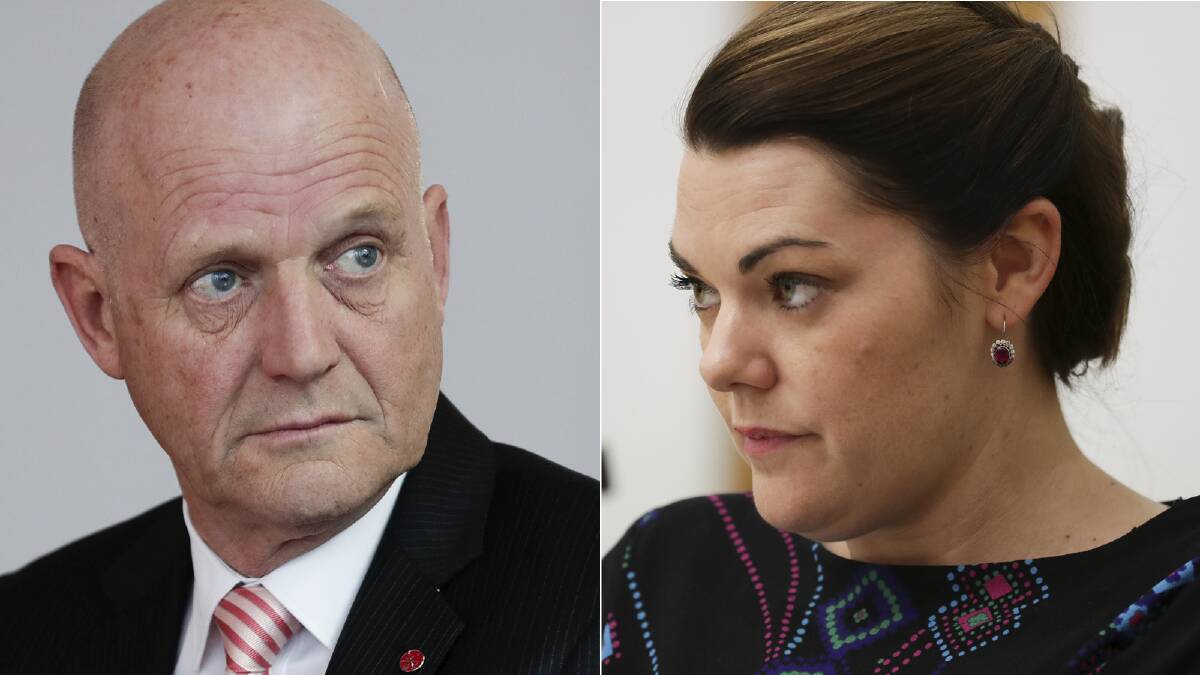 Co-workers surely? David Leyonhjelm and Sarah Hanson-Young. Photo: Fairfax Media
