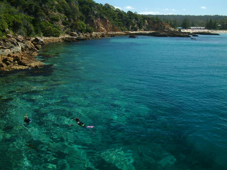 Snorkelling in the waters off the Tathra Wharf with a bumper summer crowd on the surf beach. Photo: Tim the Yowie Man