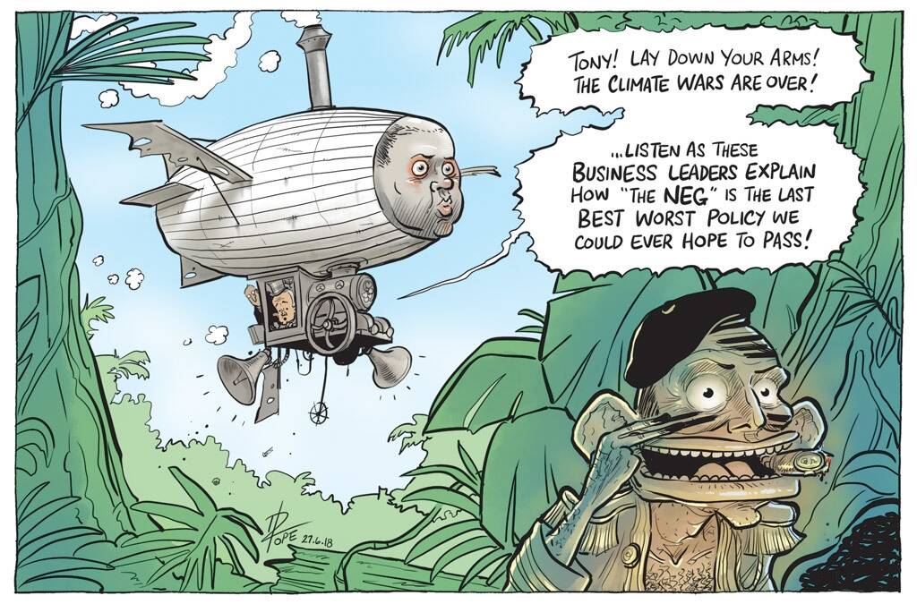 The Canberra Times editorial cartoon, June 27, 2018. Photo: David Pope