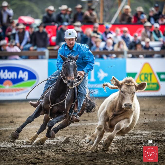 Ben Hall competes on Footacre at the World Championship Gold Buckle Campdraft. Photo: Stephen Mowbray 