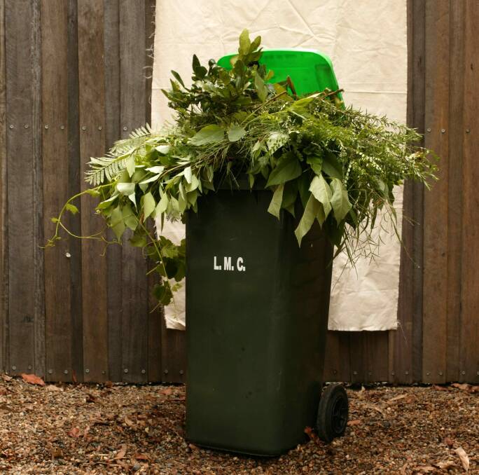 More than 8000 homes in Weston Creek and Kambah now have a green bin with Tuggeranong residents the next to receive them. Photo: Quentin Jones 