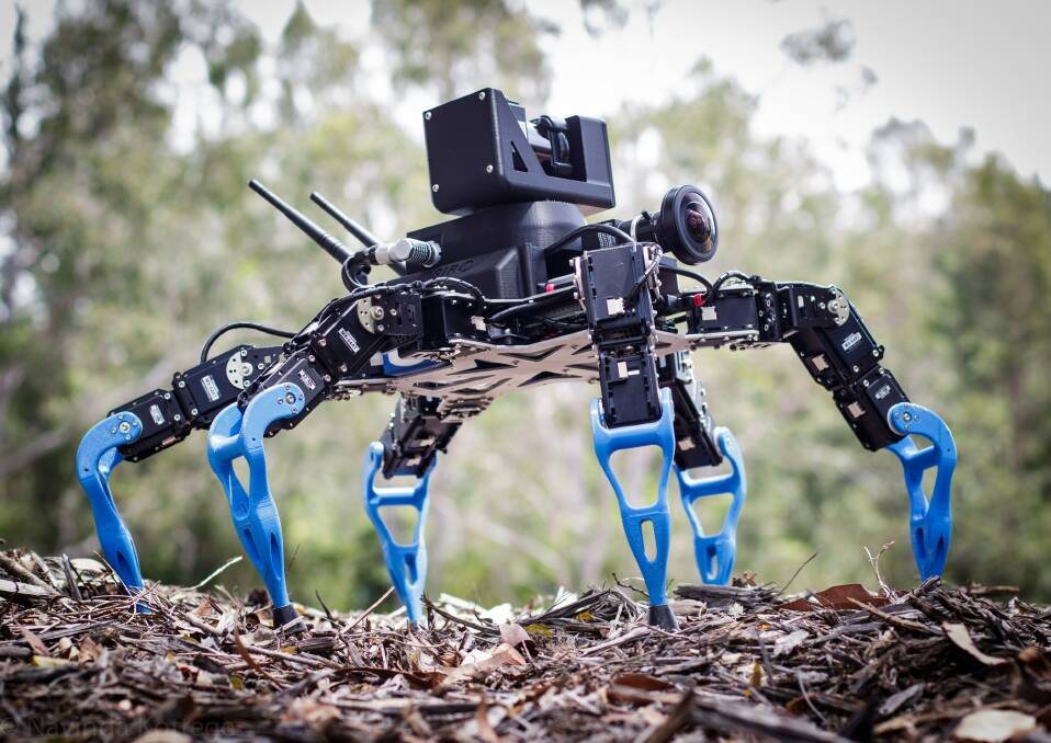 Robot Zee - a hexapod robot used for remote inspection Photo: CSIRO Data61