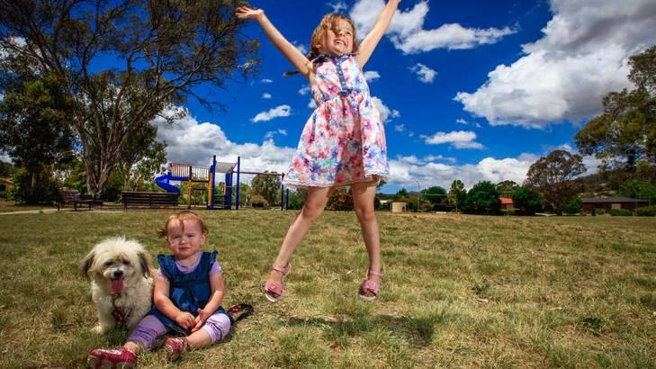 Natasha King, 5, with her dog Mandy and one-year-old sister Bianca, is happy the Chisholm park will no longer be demolished. Photo: Katherine Griffiths