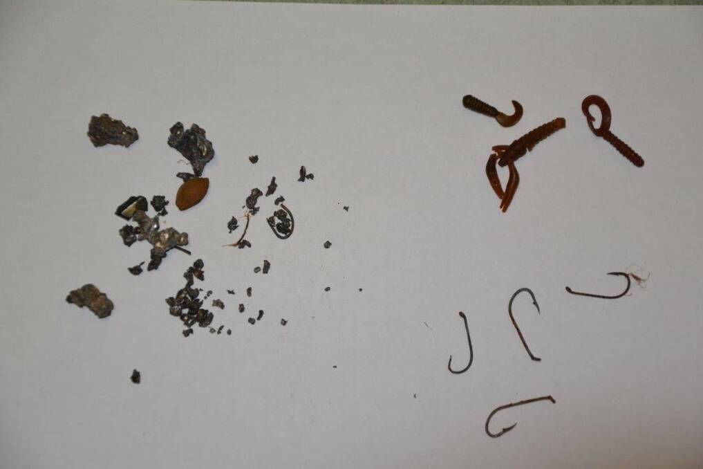 Fish hooks and metallic matter ingested by a dog in Canberra Photo: Supplied