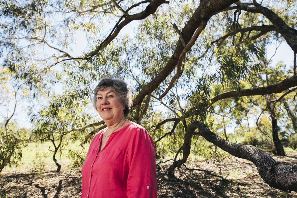 Wendy Rainbird at Farrer Ridge nature reserve where she has worked as a volunteer for many years.  Photo: Rohan Thomson