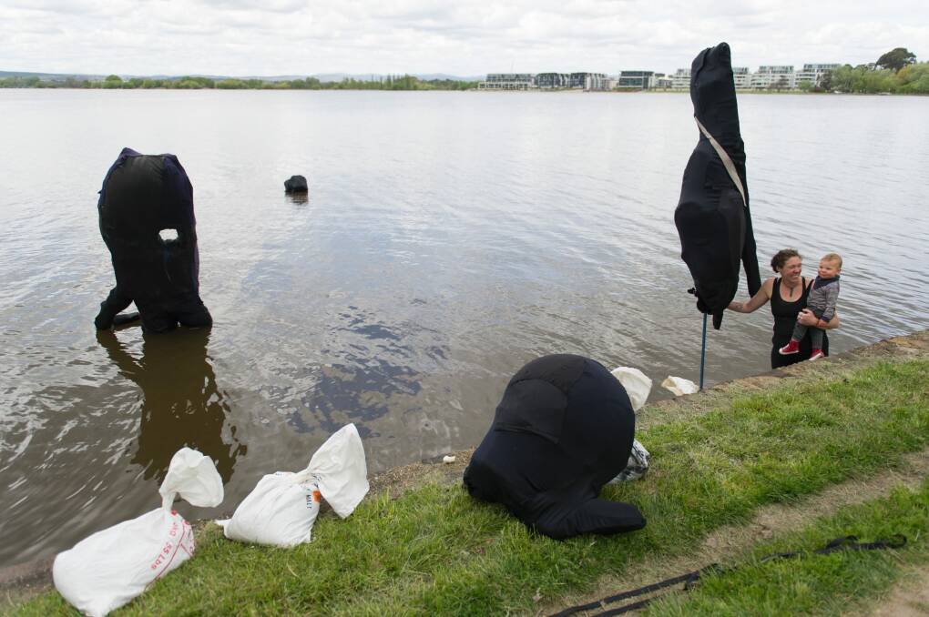 Canberra artist Haeli Van Veen on Thursday installing her work <i>Committee Meeting</i> in Lake Burley Griffin for the <i>Contour 556</i> exhibition. Photo: Jay Cronan