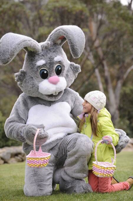 Check out where all the Easter egg hunts are happening in Canberra and region this Easter.  Photo: Thredbo resort