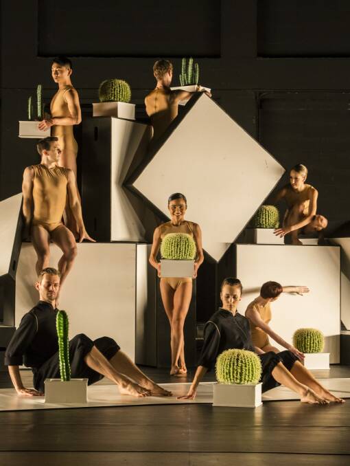 Sydney Dance Theatre presents Alexander Ekman's Cacti.  Photo: Peter Greig