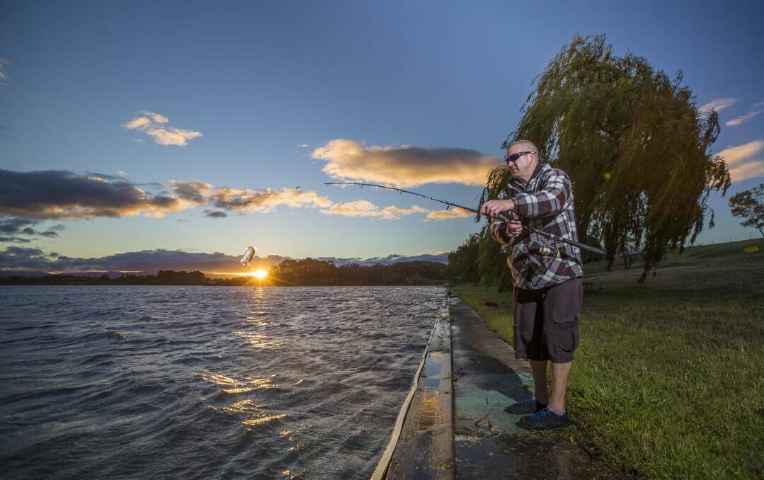 Greg Collins recently caught 11 good-sized redfin on the shores of Lake Burley Griffin near Black Mountain. He sometimes uses his phone before fishing to check detailed weather conditions.  Photo by Matt Bedford.