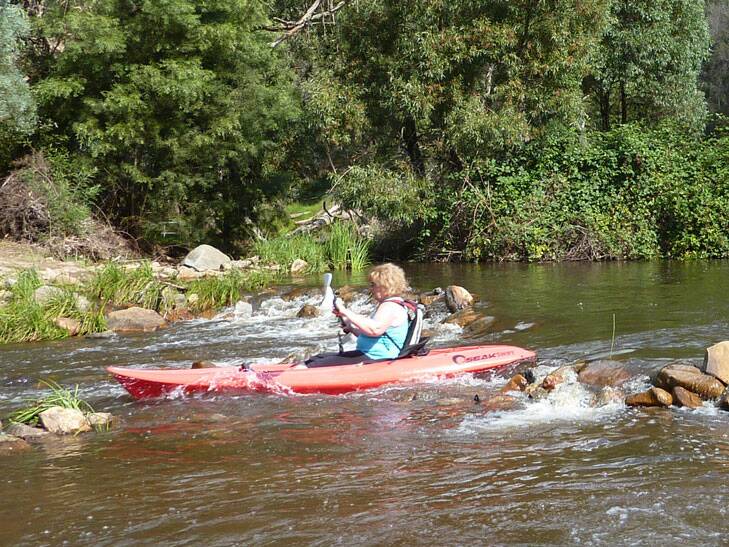 Micalong creek provides safe and fun paddling. Photo: Supplied by Tim the Yowie Man