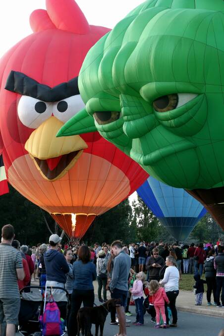 The weekend is the last chance to check out the Angry Birds and Yoda balloons, among many more at the Canberra Balloon Spectacular. Photo: Alex Ellinghausen 