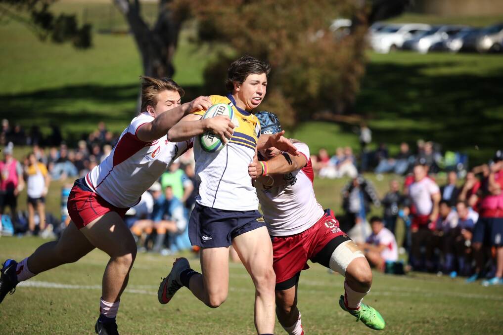 The ACT Schoolboys stunned everyone in their path to win the Australian schoolboys rugby championships. Photo: Karen Watson (ARU Media)